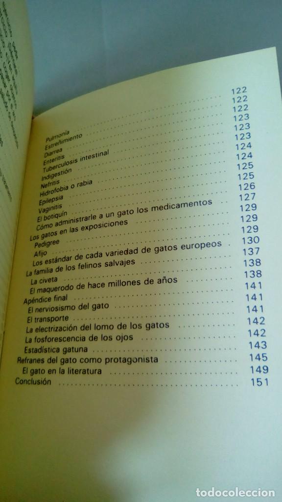 Libros: GATOS.- ADOLF VINIST - Foto 10