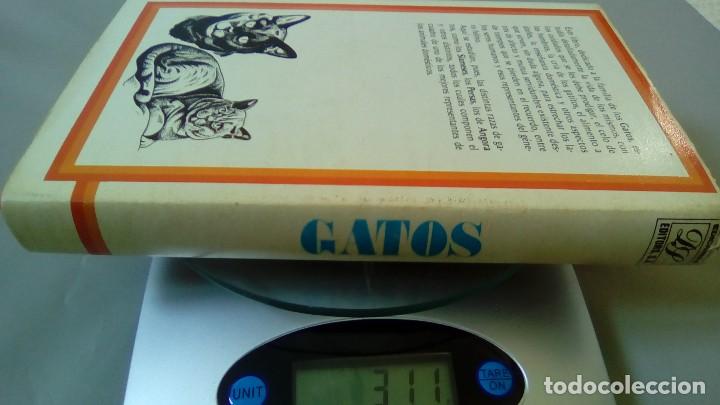 Libros: GATOS.- ADOLF VINIST - Foto 11