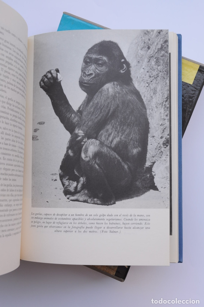 Libros: El mundo viviente - JONCH, Antonio - Foto 6