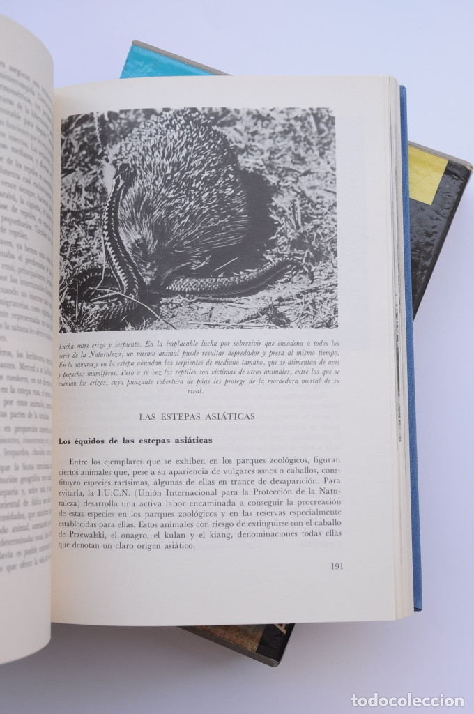 Libros: El mundo viviente - JONCH, Antonio - Foto 7