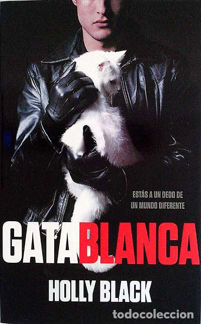 Libros: Gata blanca - Holly Black - Foto 1