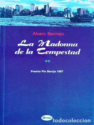 Libros: La Madonna de la Tempestad - Alvaro Bermejo - Foto 1