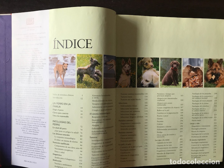 Libros: El cuidado del perro. Dr. Bruce Fogle - Foto 2
