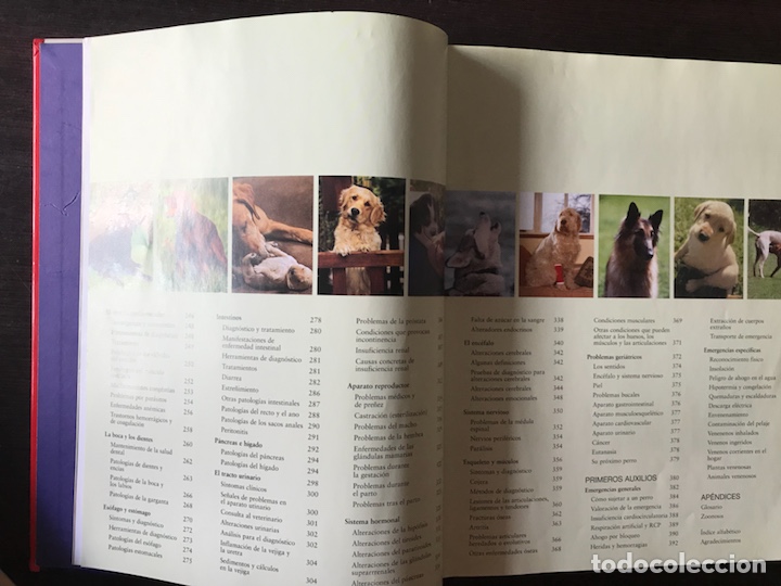 Libros: El cuidado del perro. Dr. Bruce Fogle - Foto 3