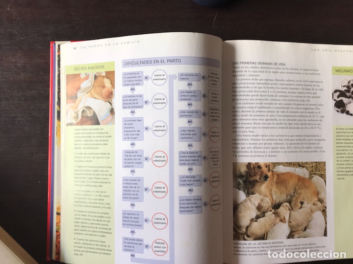 Libros: El cuidado del perro. Dr. Bruce Fogle - Foto 4