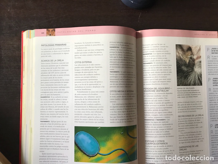 Libros: El cuidado del perro. Dr. Bruce Fogle - Foto 6