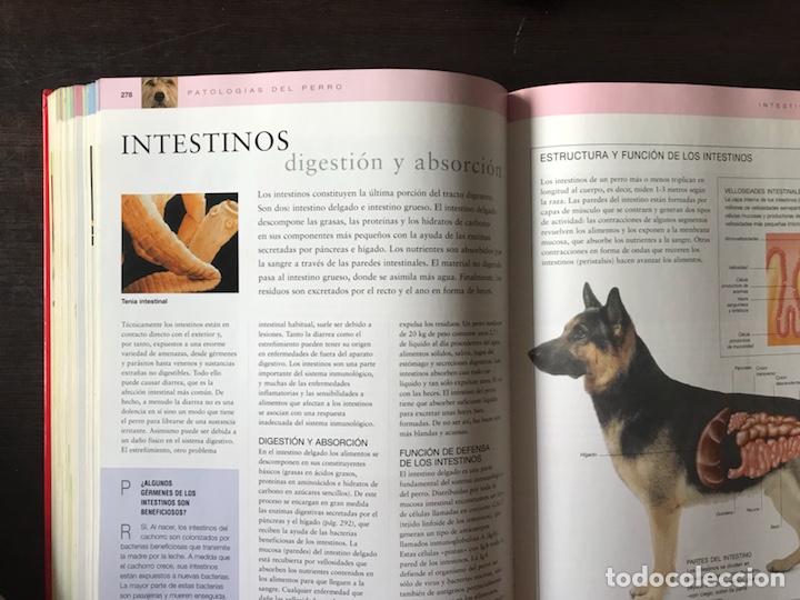 Libros: El cuidado del perro. Dr. Bruce Fogle - Foto 7