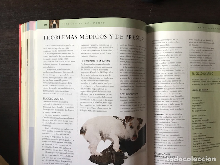 Libros: El cuidado del perro. Dr. Bruce Fogle - Foto 8
