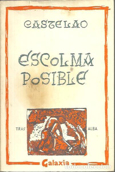 Libros: ESCOLMA POSIBLE. - CASTELAO. - Foto 1