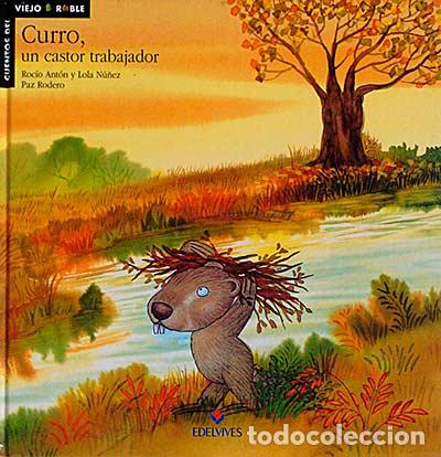 Libros: Curro, un castor trabajador - Paz Rodero - Foto 1