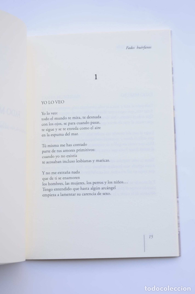 Libros: Fados huerfanos - S&Aacute;NCHEZ VALL&Eacute;S, Joaqu&iacute;n - Foto 3