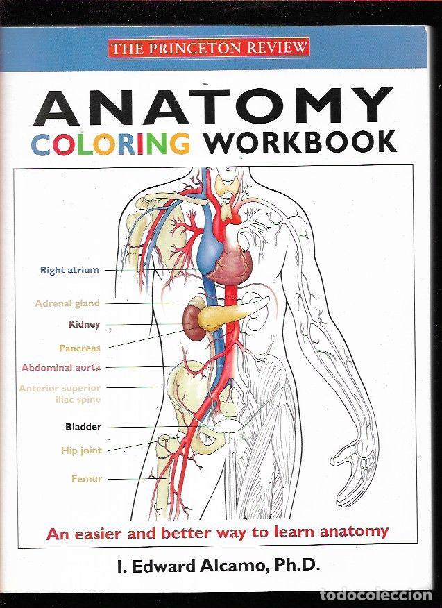 Libros: ANATOMY COLORING WORKBOOK - ALCAMO, I. EDWARD - Foto 1