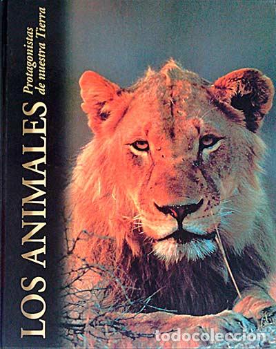 Libros: Los animales. Protagonistas de nuestra Tierra - vvaa - Foto 1