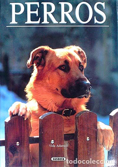 Libros: Perros - Vida Adamoli - Foto 1