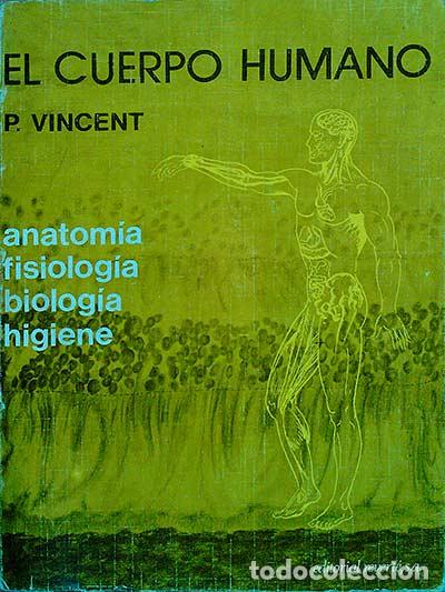 Libros: El cuerpo humano - P. Vincent - Foto 1