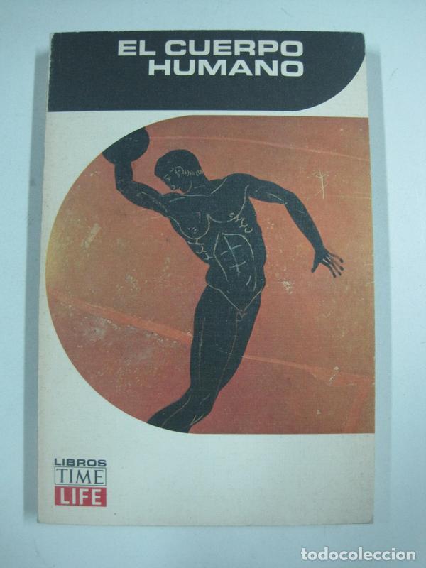 Libros: El cuerpo humano / Alan E. Nourse - Foto 1