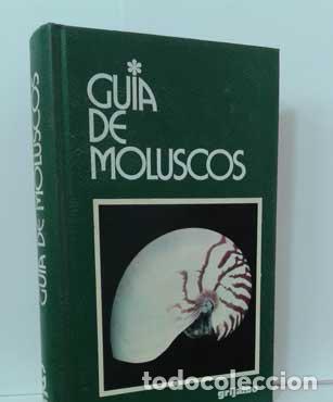 Libros: GU&Iacute;A DE MOLUSCOS - SABELLI, BRUNO - Foto 1