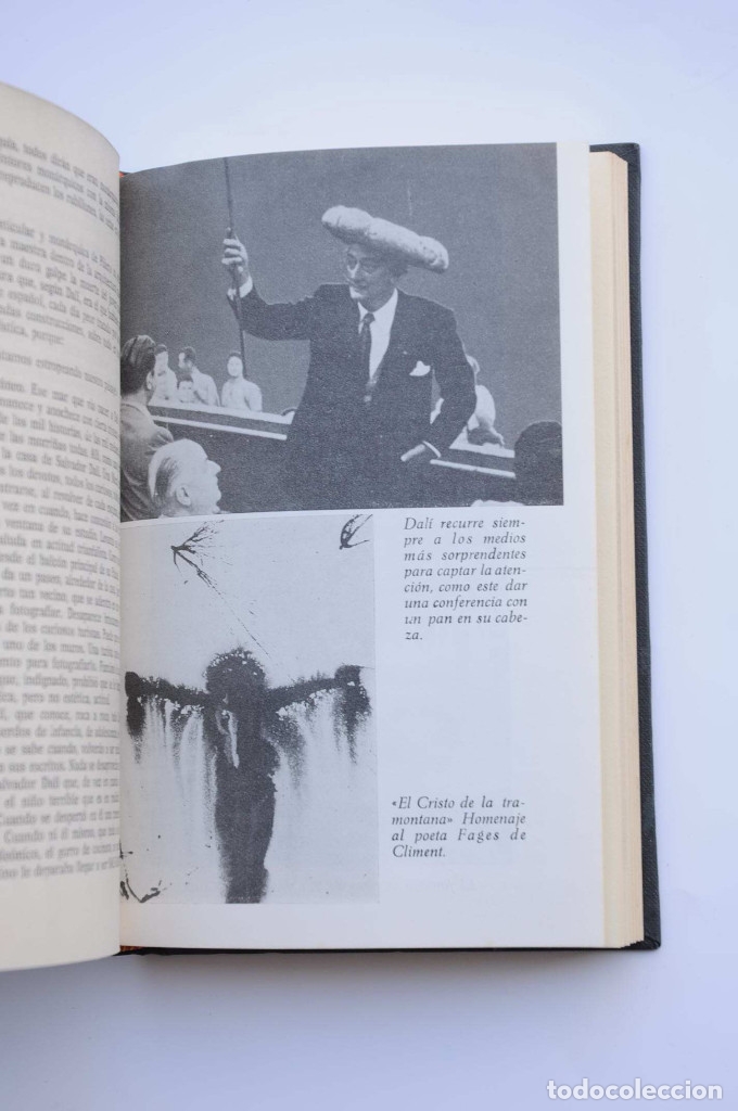 Libros: Dal&iacute;, secreto - OLANO, Antonio D. - Foto 4