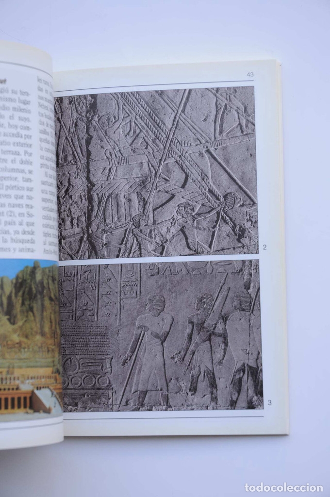 Libros: El arte del antiguo Egipto - PRESEDO, Francisco - Foto 4