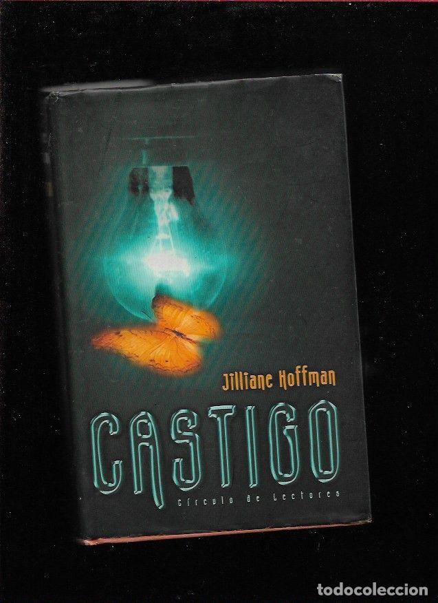 Libros: CASTIGO - HOFFMAN, JILLIANE - Foto 1