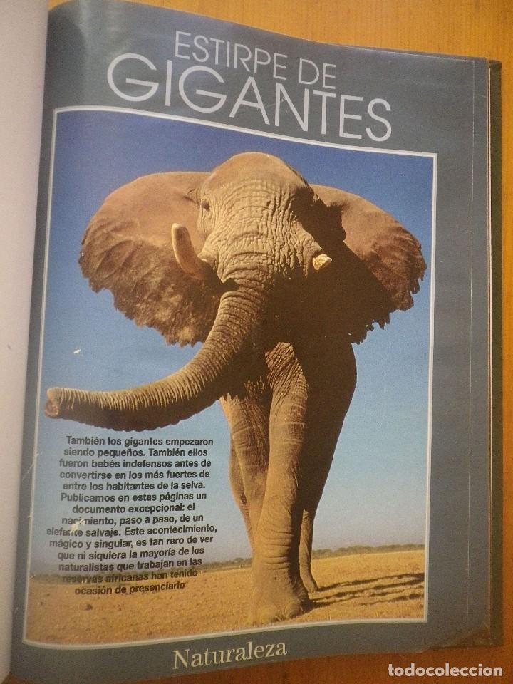 Libros: ESTIRPE DE GIGANTES - Foto 2
