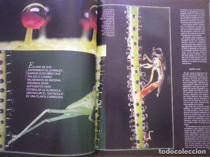 Libros: ESTIRPE DE GIGANTES - Foto 3