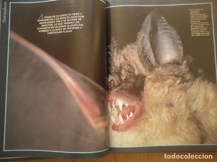 Libros: ESTIRPE DE GIGANTES - Foto 4