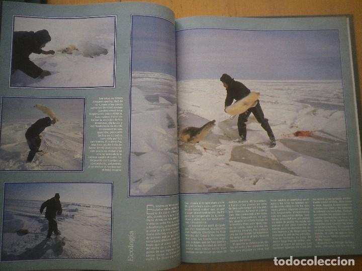Libros: ESTIRPE DE GIGANTES - Foto 6