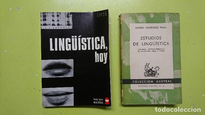 Libros: LOTE LIBROS LING&Uuml;&Iacute;STICA, RAM&Oacute;N MENENDEZ PIDAL - Foto 1