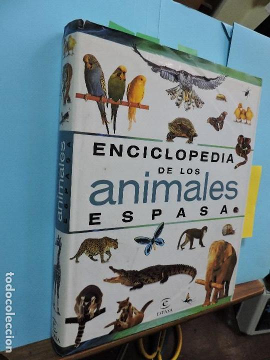 Libros: Enciclopedia de los animales. Ed. Espasa. Madrid 2005 - Foto 1