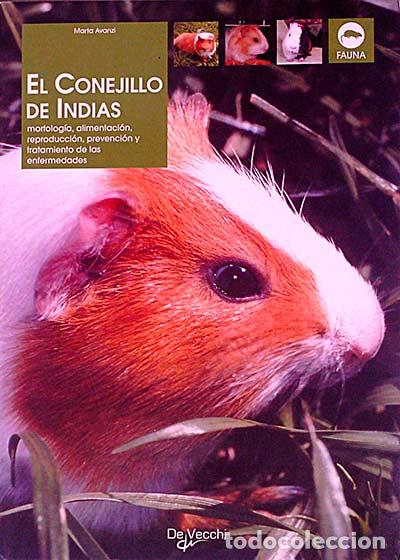 Libros: El conejillo de Indias - Marta Avanzi - Foto 1