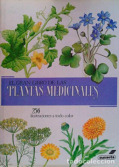 Libros: El gran libro de las plantas medicinales - vvaa - Foto 1