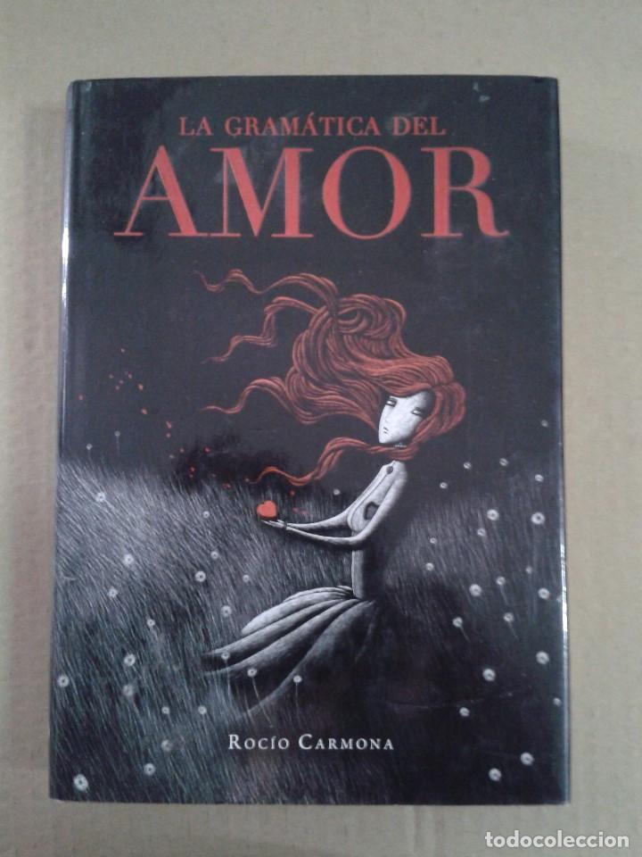 Libros: La gram&aacute;tica del amor (Narrativa singular) de Roc&iacute;o Carmona. CL - Foto 1