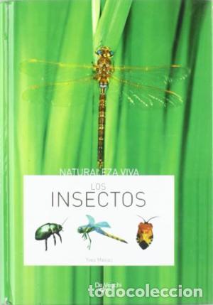 Libros: LOS INSECTOS - Masiac,Yves - Foto 1