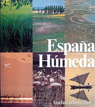 Libros: Espa&ntilde;a h&uacute;meda - VVAA - Foto 1