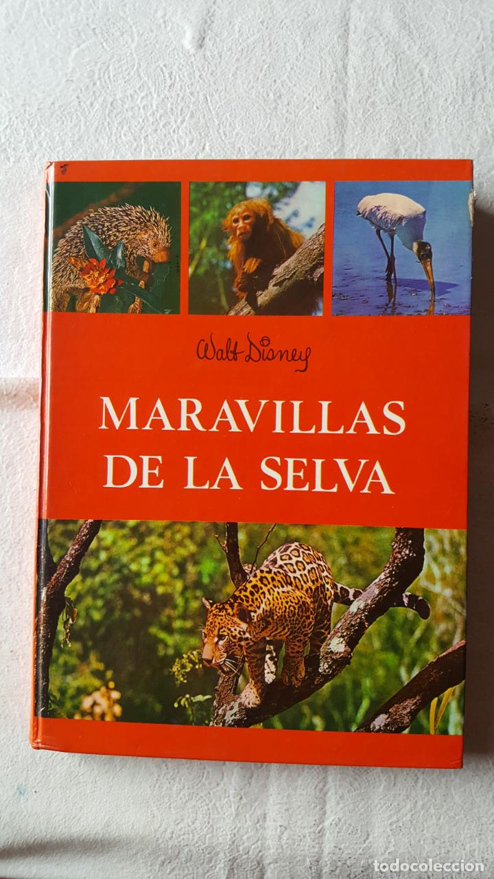 B&uuml;cher: Libro MARAVILLAS DE LA SELVA (Walt Disney) (Ed. Gaisa, 1967) 1&ordf; edici&oacute;n &iexcl;ORIGINAL!
