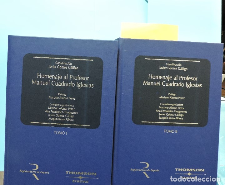 B&uuml;cher: Homenaje al Profesor Manuel Cuadrado Iglesias tomo I y II. G&Oacute;MEZ G&Aacute;LLIGO, Javier (coord.)