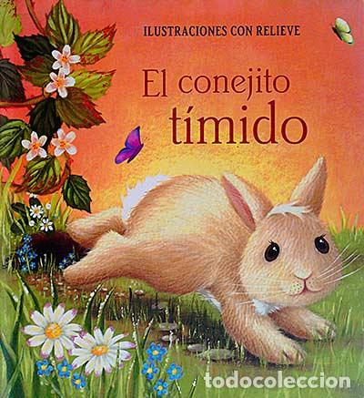Libros: El conejito t&iacute;mido - Nick Ellsworth - Foto 1