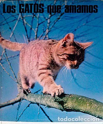 Libros: Los gatos que amamos - A. E. Brehm y Buffon - Foto 1