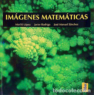 Libros: Im&aacute;genes matem&aacute;ticas - VVAA - Foto 1