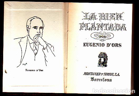 Libros: LA BIEN PLANTADA. - DORS, Eugenio. - Foto 1