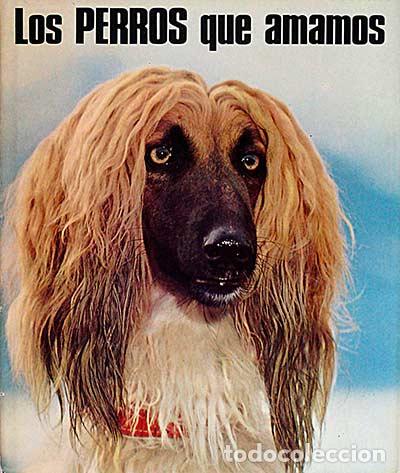 Libros: Los perros que amamos - VVAA - Foto 1