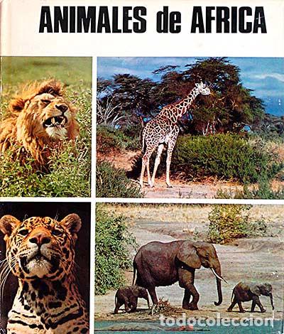 Libros: Animales de &Aacute;frica - VVAA - Foto 1