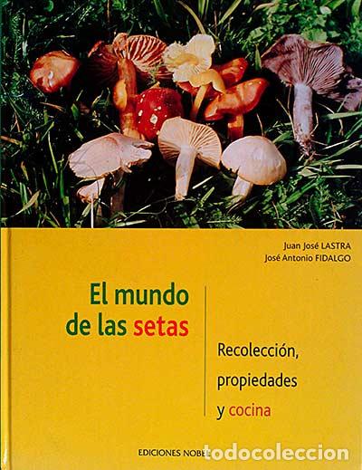 Libros: El mundo de las setas - Juan Jos&eacute; Lastra - Foto 1