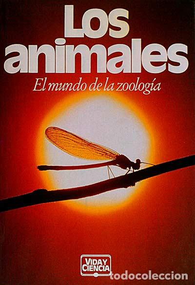 Libros: Los animales - VVAA - Foto 1