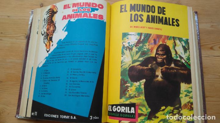 Libros: El mundo de los animales - Foto 2
