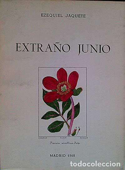 Libros: Extra&ntilde;o junio - Ezequiel Jaquete Rama - Foto 1
