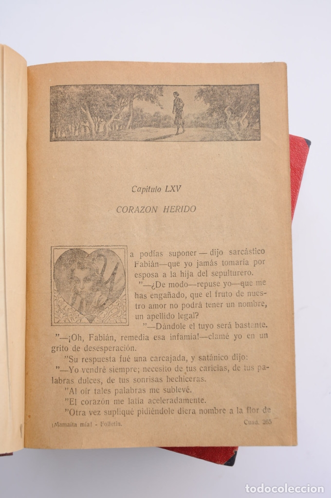Libros: Mamaita m&iacute;a - GONZ&Aacute;LEZ, Rosa - Foto 8
