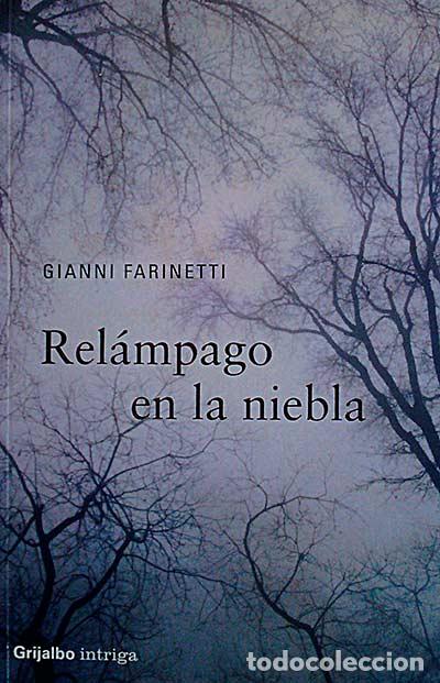 Libros: Rel&aacute;mpago en la niebla - Farinetti, Gianni - Foto 1