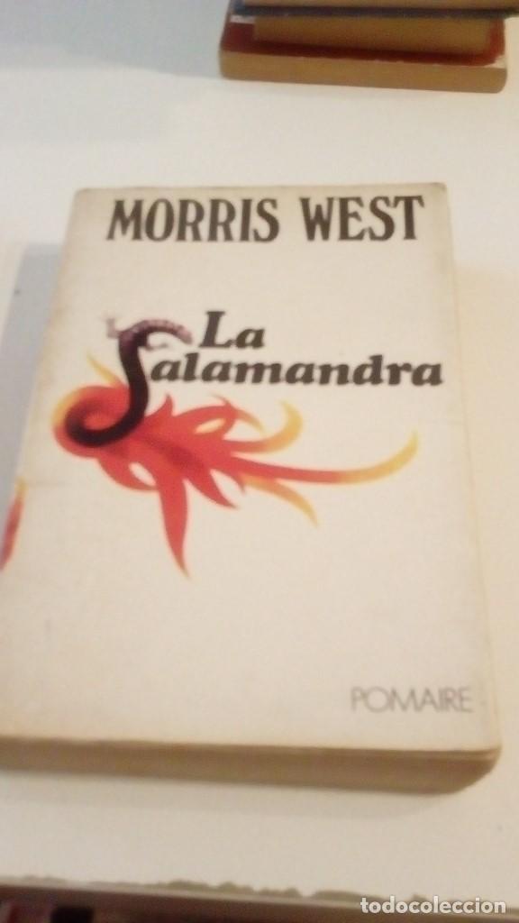 Libros: C-G09GI LIBRO La Salamandra - Morris West. - Foto 1